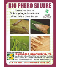 Combo Pack of Bio Phero SI (Rice Yellow Stem Borer) Lure & Funnel trap set (Pack of 10 Pieces)